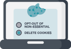 FT_webgraphics_PrivacyBestPractices_05-23_CookieSettingOptions Cookie Options